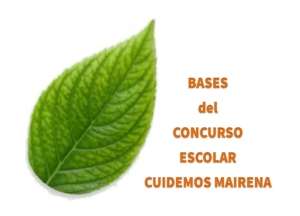 Huella del pié con hojas 2 Bases