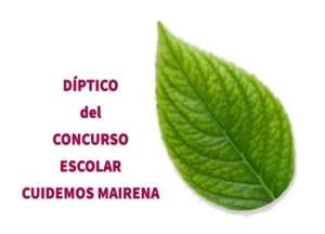 Huella del pié con hojas 4 Díptico