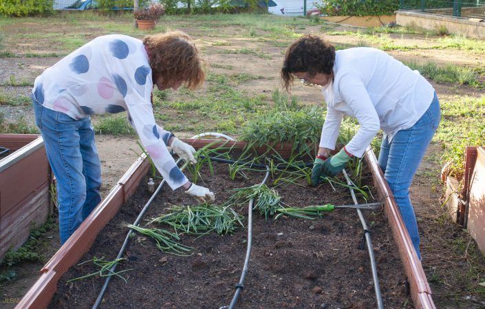 Huerto del Ateneo. Plantacio_n de oton_o-3