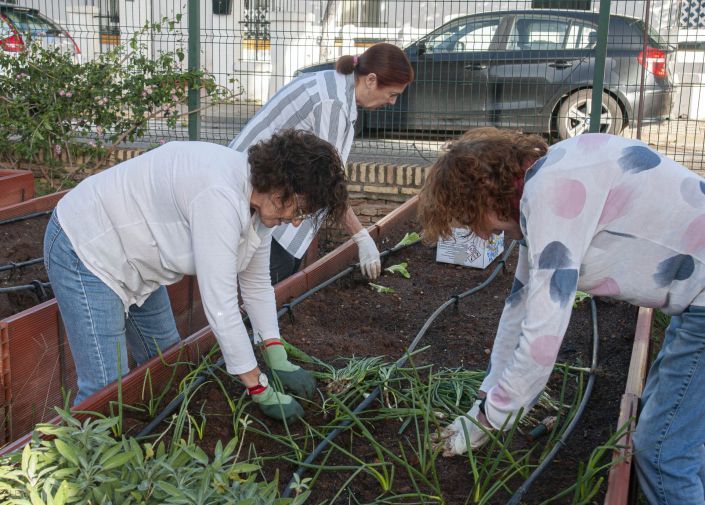 Huerto del Ateneo. Plantacio_n de oton_o-5