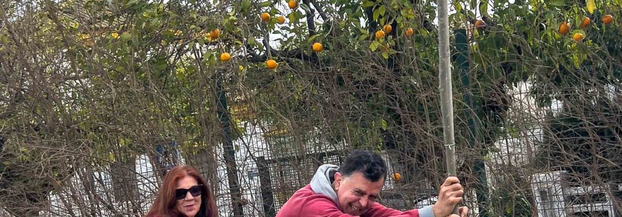 Humanos ayudando.